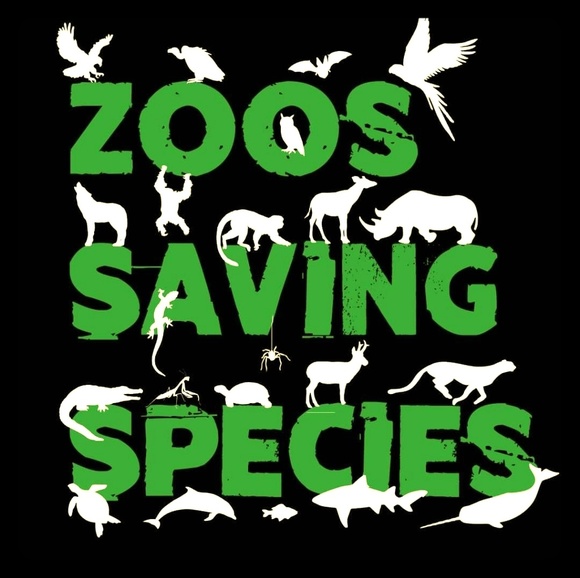 MEET THE POSHER - Picture 8 of 8